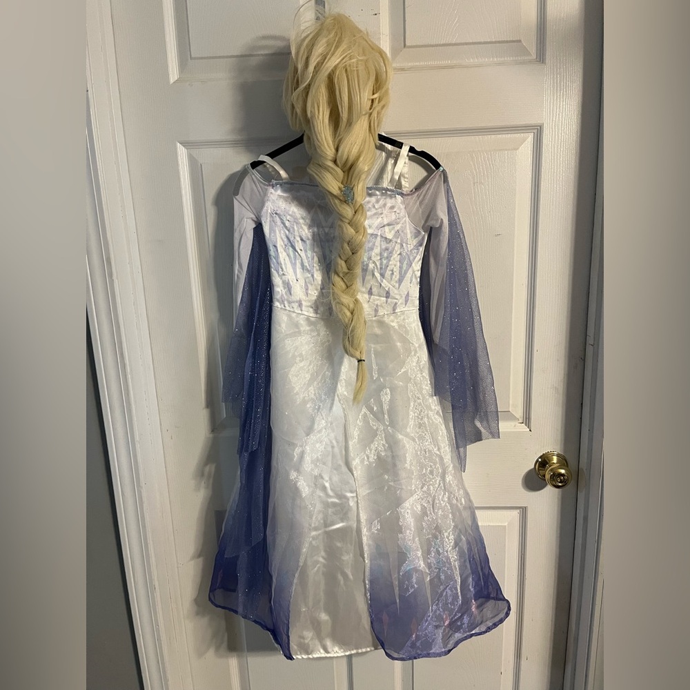 Disney Frozen Dress with wig